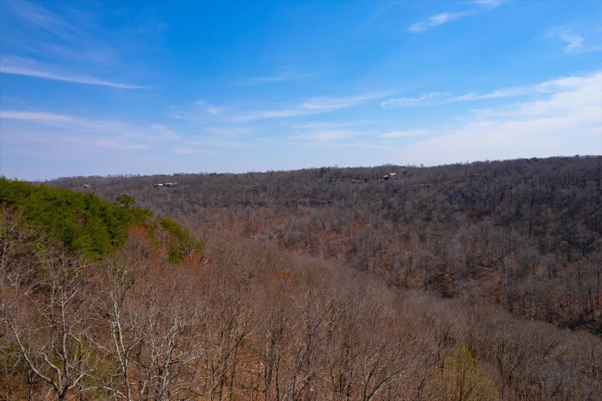 Property Photo:  0 Middle Ridge  TN 37305 