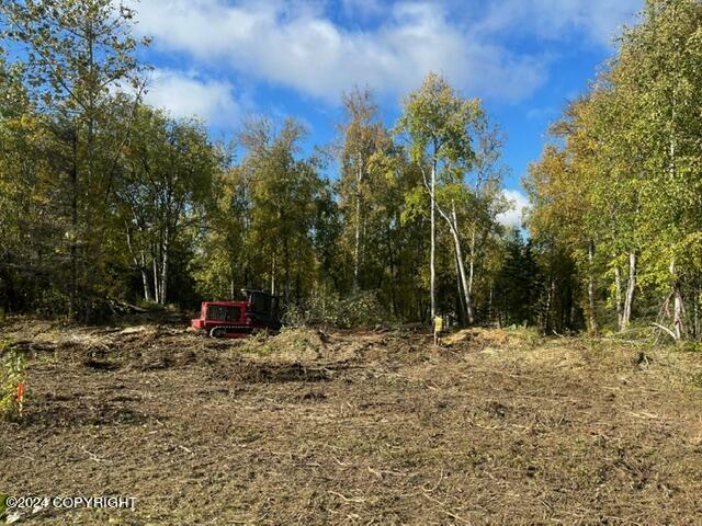 9958 W Fairchild Street  Wasilla AK 99623 photo