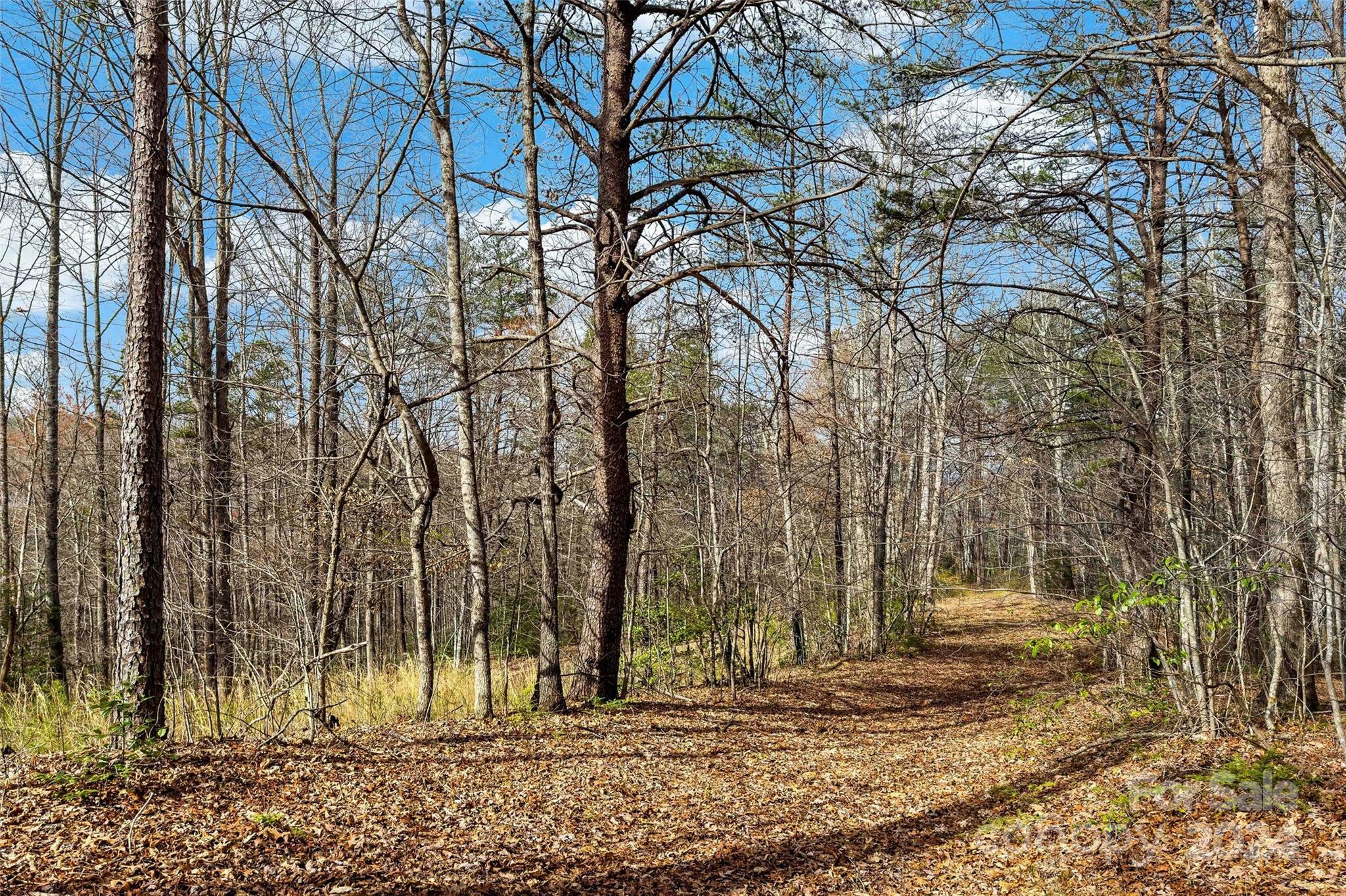 Property Photo:  Vl W Payne Road  NC 28752 