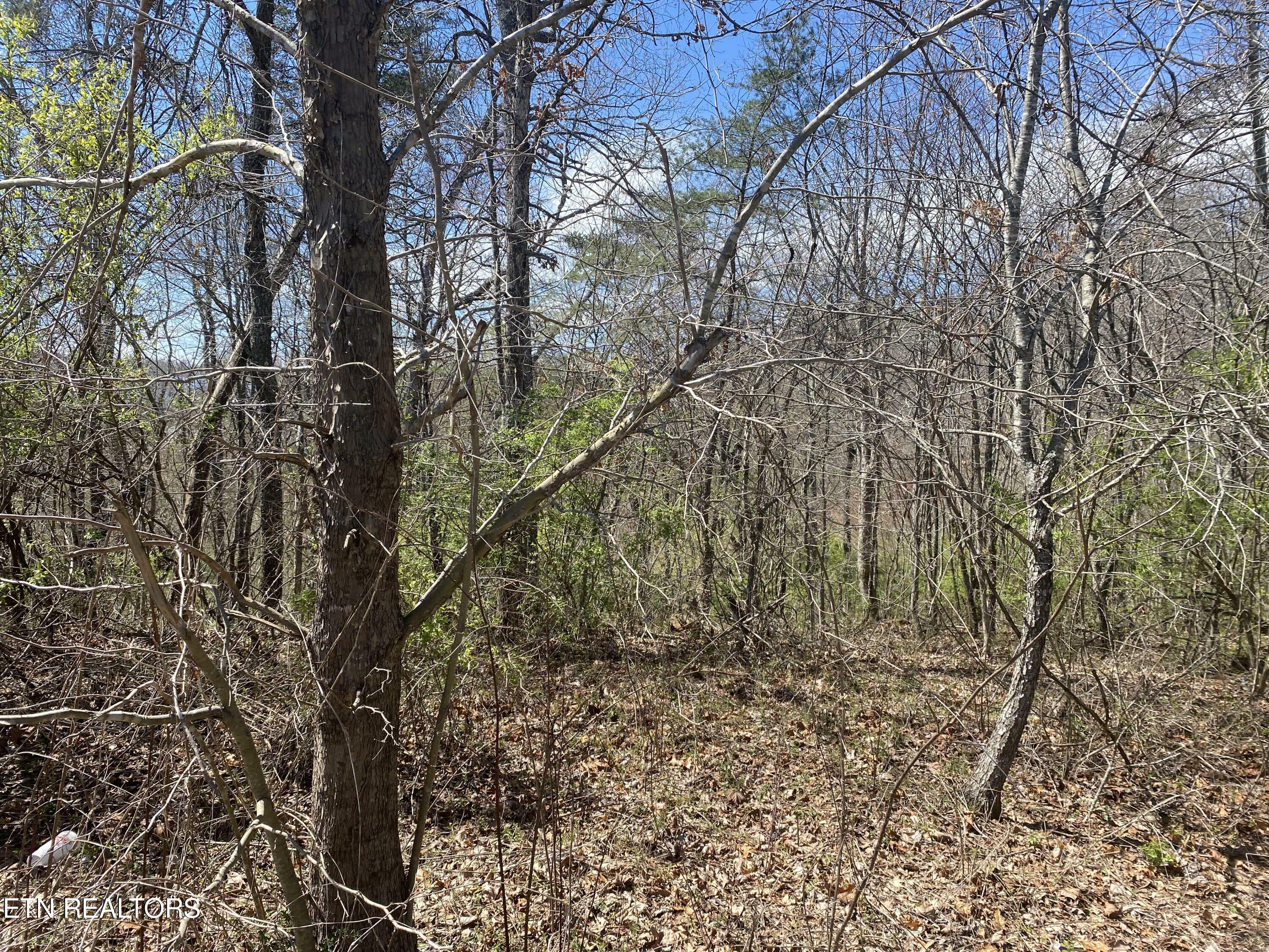 Property Photo:  # 6 Hwy 127 North  TN 38555 