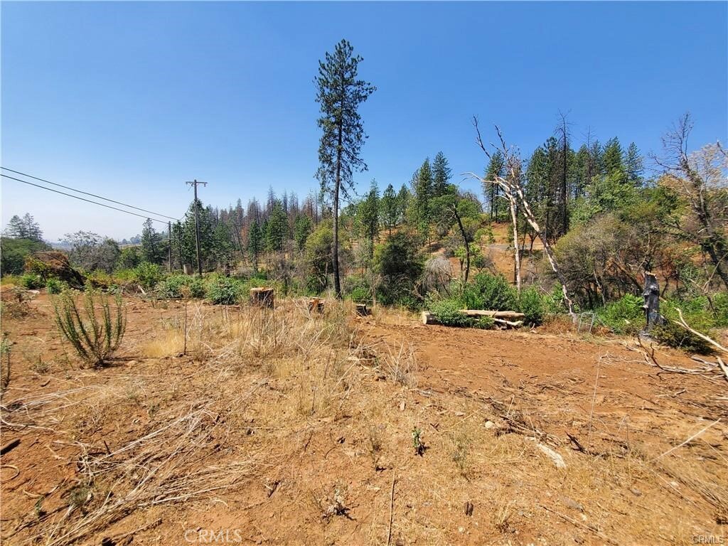 Property Photo:  585 Elliott  CA 95969 