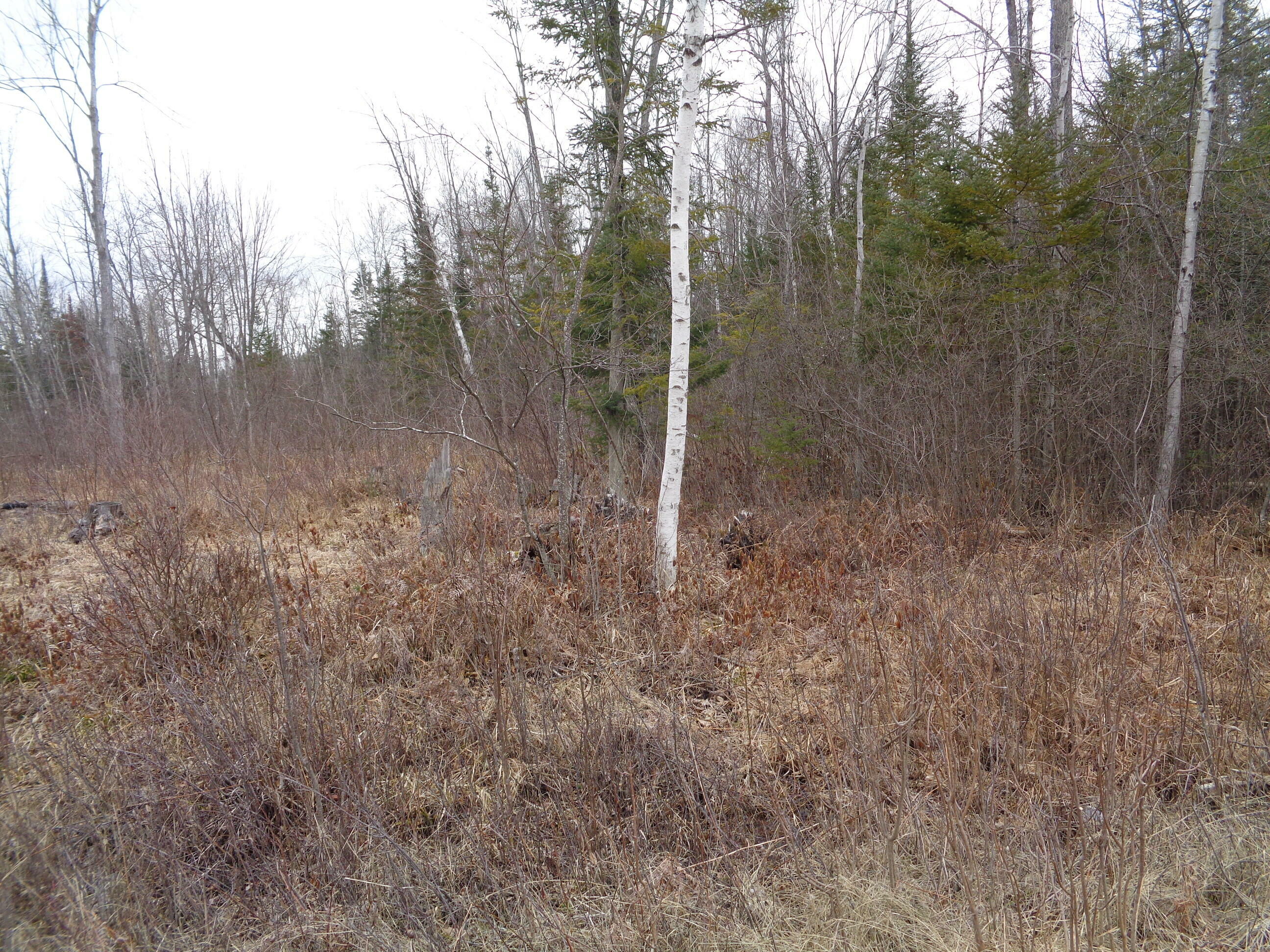 128 Custer Road  Alpena MI 49707 photo