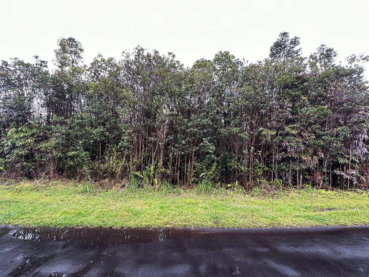 Property Photo:  Lehua St  HI 96771 