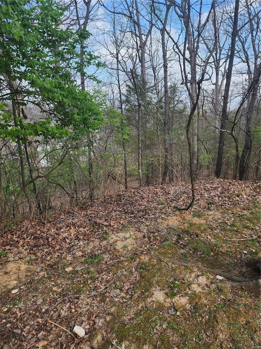 Property Photo:  1800 Harbor Mill Drive  MO 63026 