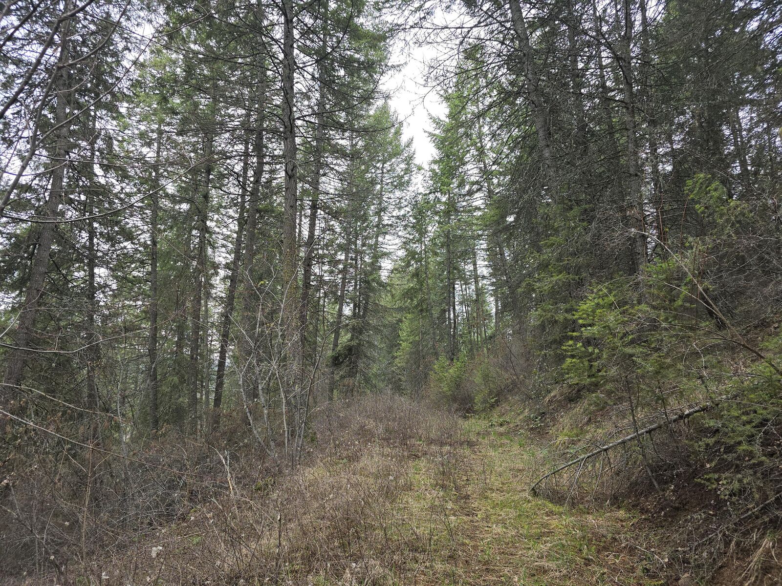 Property Photo:  Tbd Vanesse Rd  WA 99141