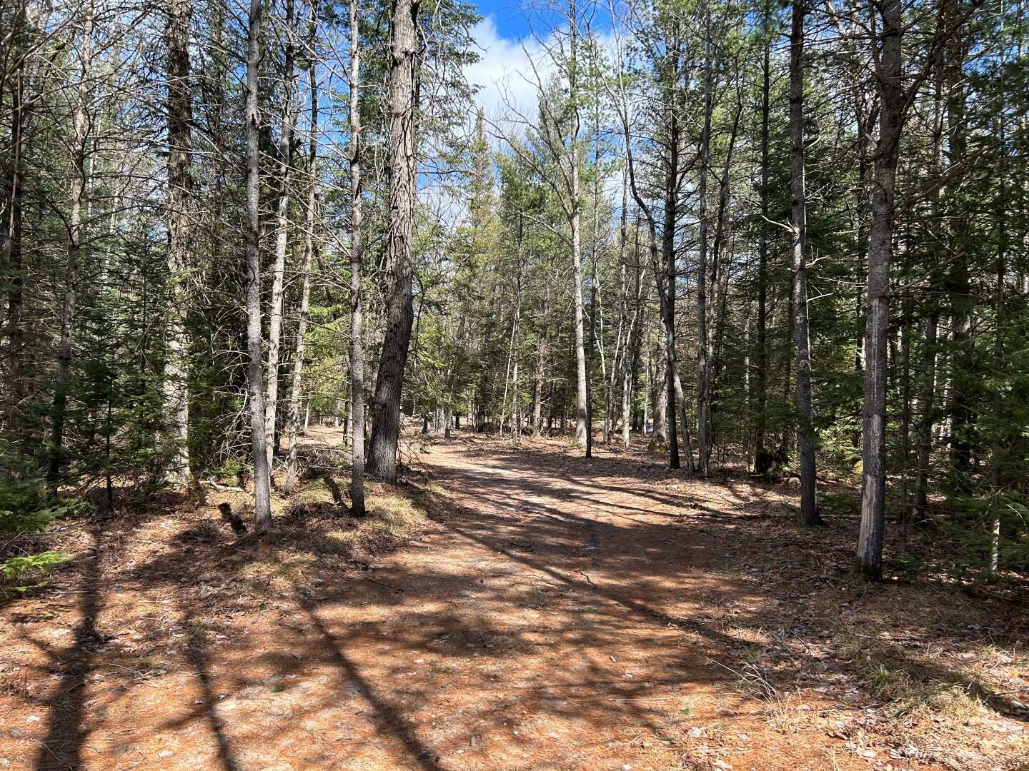 Property Photo:  S Roscommon Road 20 Acres  MI 48651 