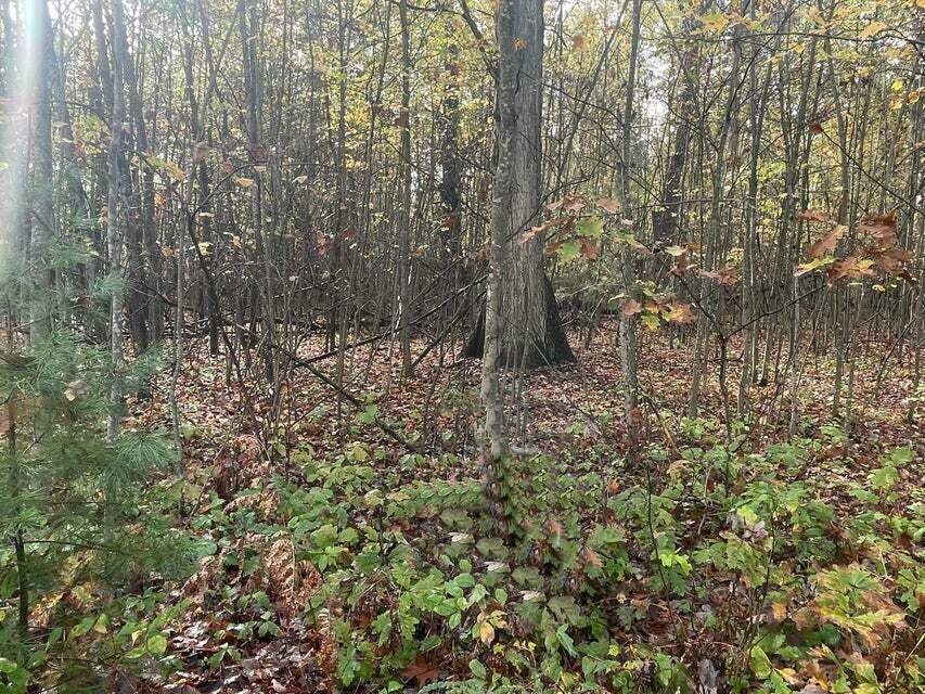 Property Photo:  Lot 29 Hidden Hills  MI 48629 