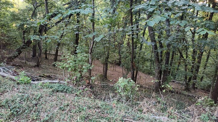 Property Photo:  25 Harbor Pointe Lane  TN 38582 