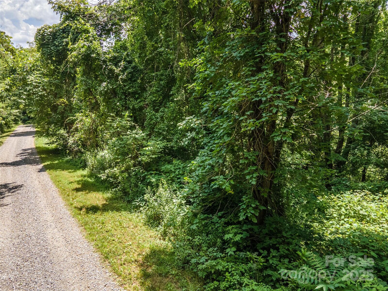 Property Photo:  Lot 26 Lake Drive  NC 28748 