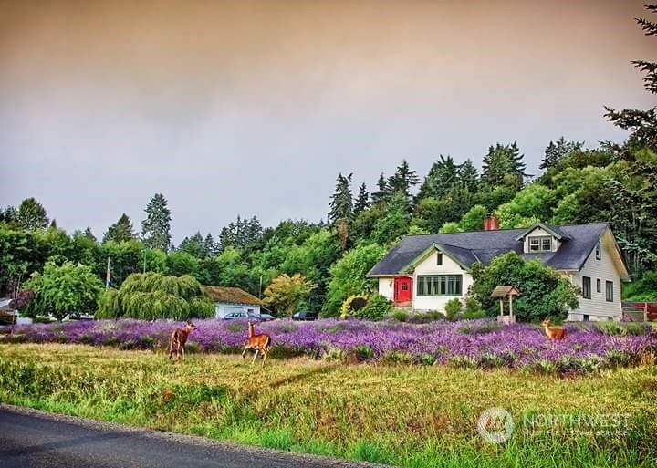 Property Photo: 4616 Ray Nash Drive NW WA 98335