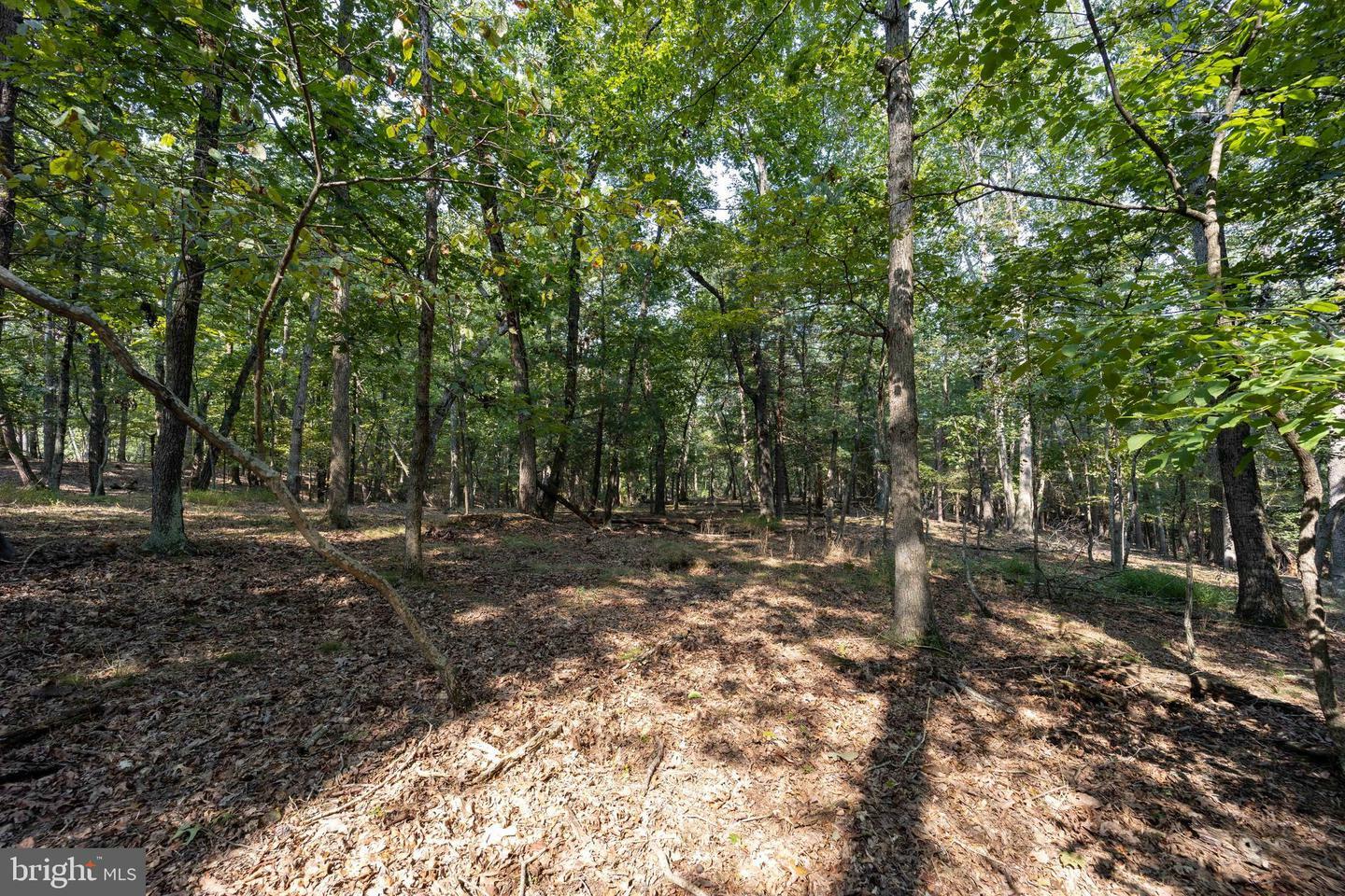 Property Photo:  Lot 12 Broomgrass Way  WV 25420 