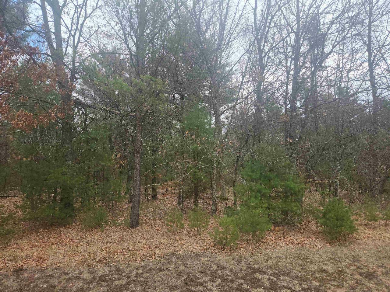 Property Photo:  Lot 19 Oakbury Drive Parcel 0704637  WI 54494 