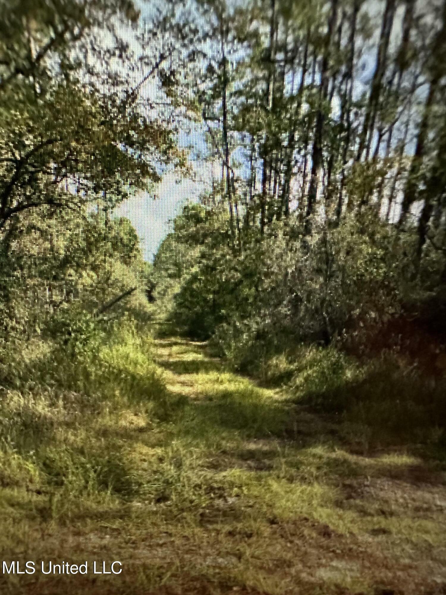 Orange Grove Road  Moss Point MS 39562 photo