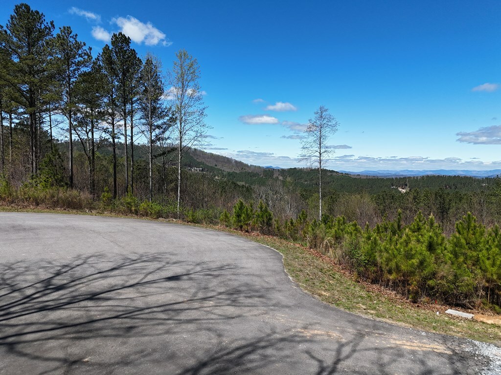 Property Photo:  Lot 86 Thirteen Hundred  GA 30512 