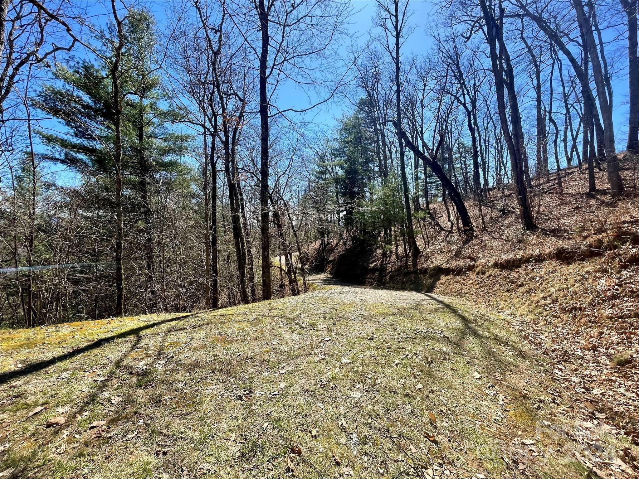 Property Photo: Lot 3 On Saturn Way 3 NC 28781