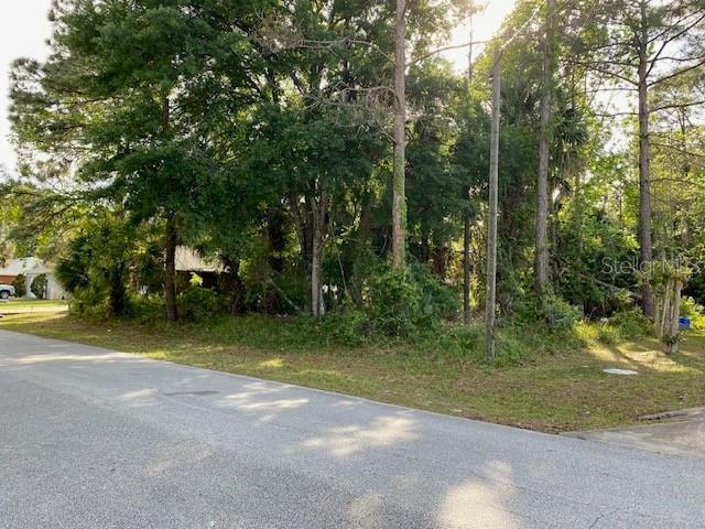 Property Photo:  85 Piedmont Drive  FL 32164 