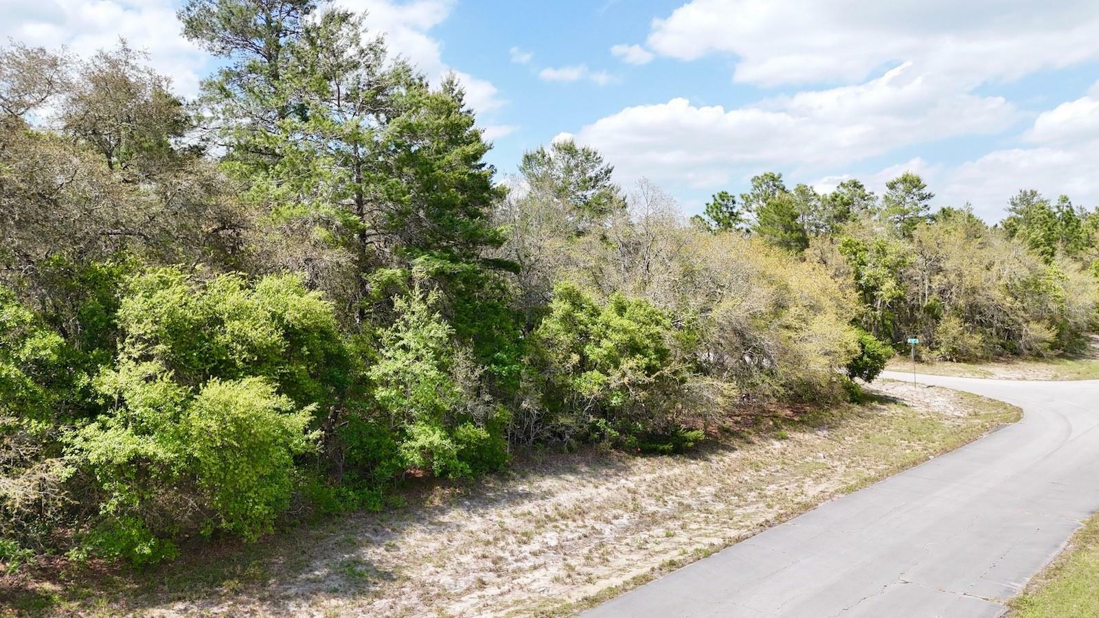 Property Photo:  Tbd 145 Place SW  FL 34473 