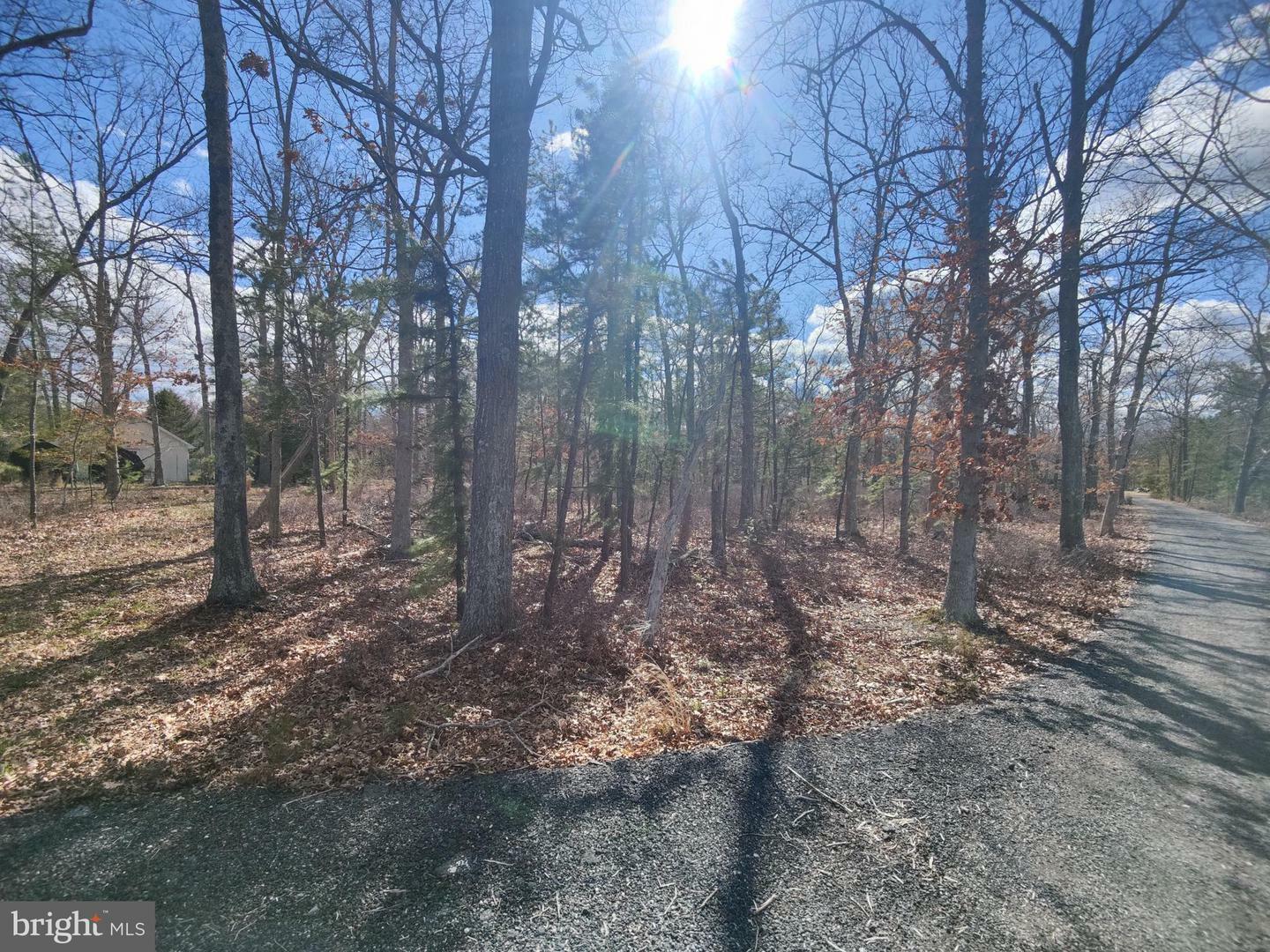 Property Photo:  1567 Simm Place Road  NJ 08005 