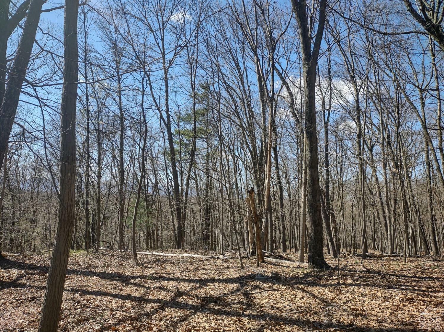 Property Photo:  0 Lakeview Drive  NY 12523 