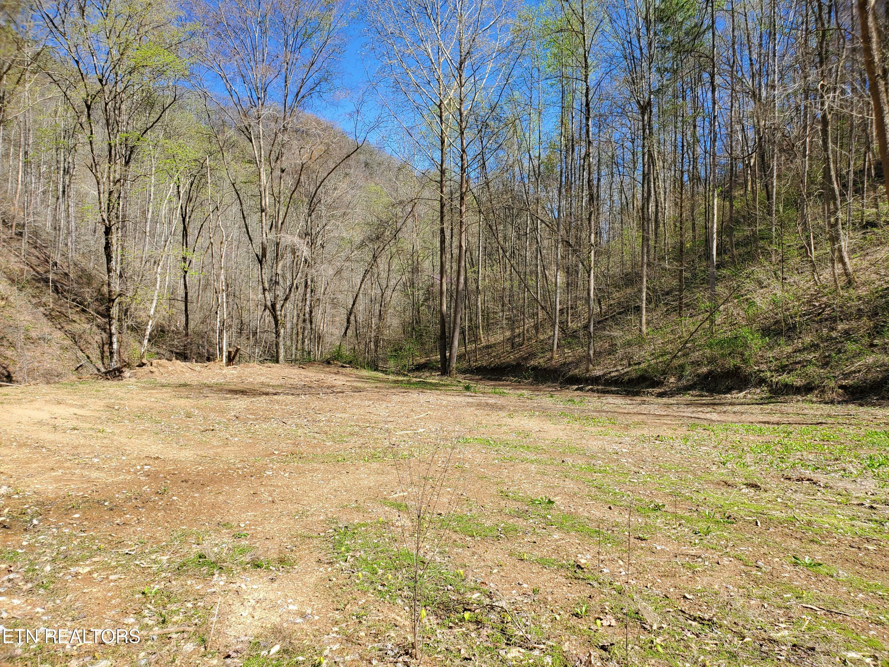 Property Photo:  7044 Caney Valley Rd  TN 37879 