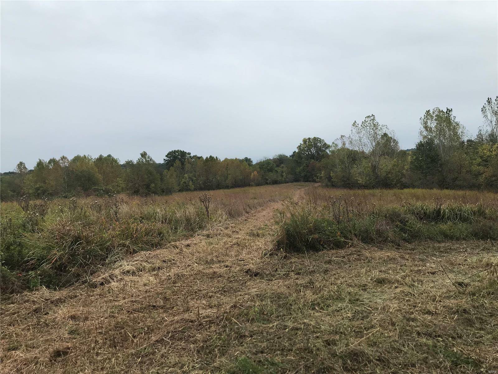 Property Photo:  8203 State Hwy Cc (Lot #4)  MO 63755 