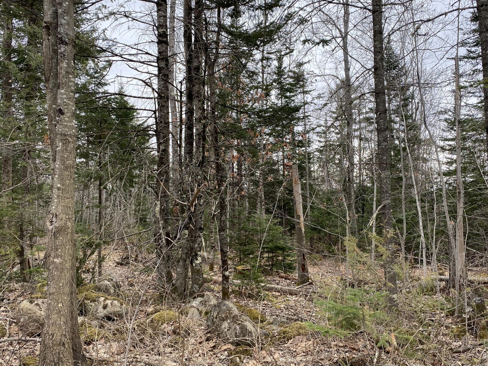 Property Photo:  177 Shaw Hill Road  ME 04444 
