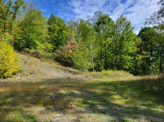 Property Photo:  43 Hillcrest Drive  NY 14870 