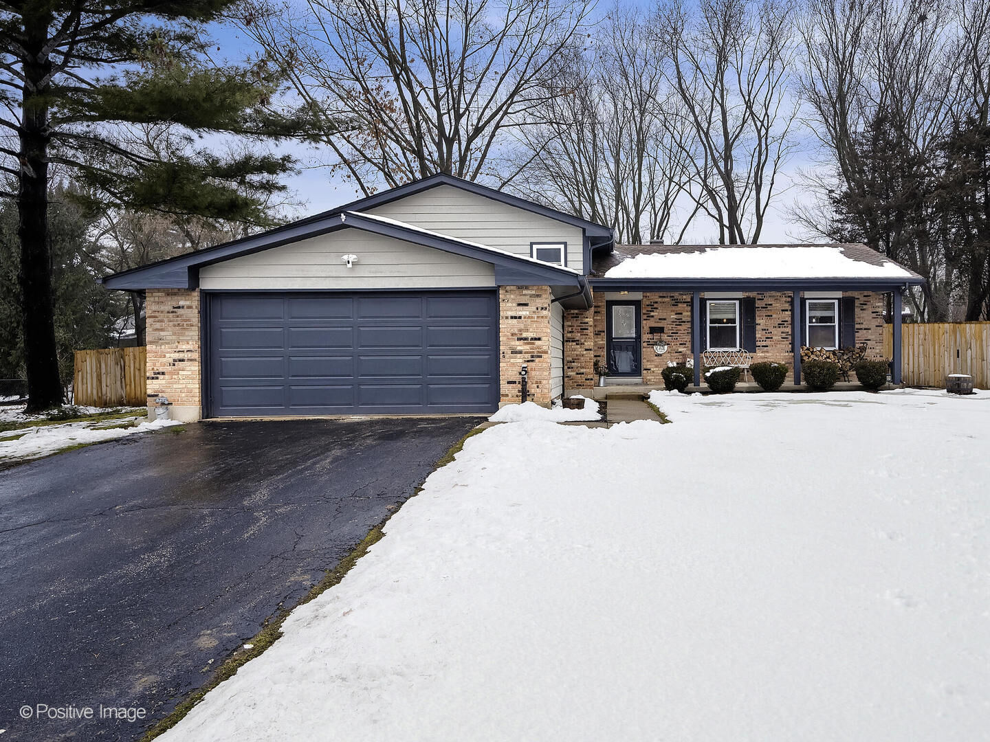 Property Photo:  533 Homestead Court  IL 60102 