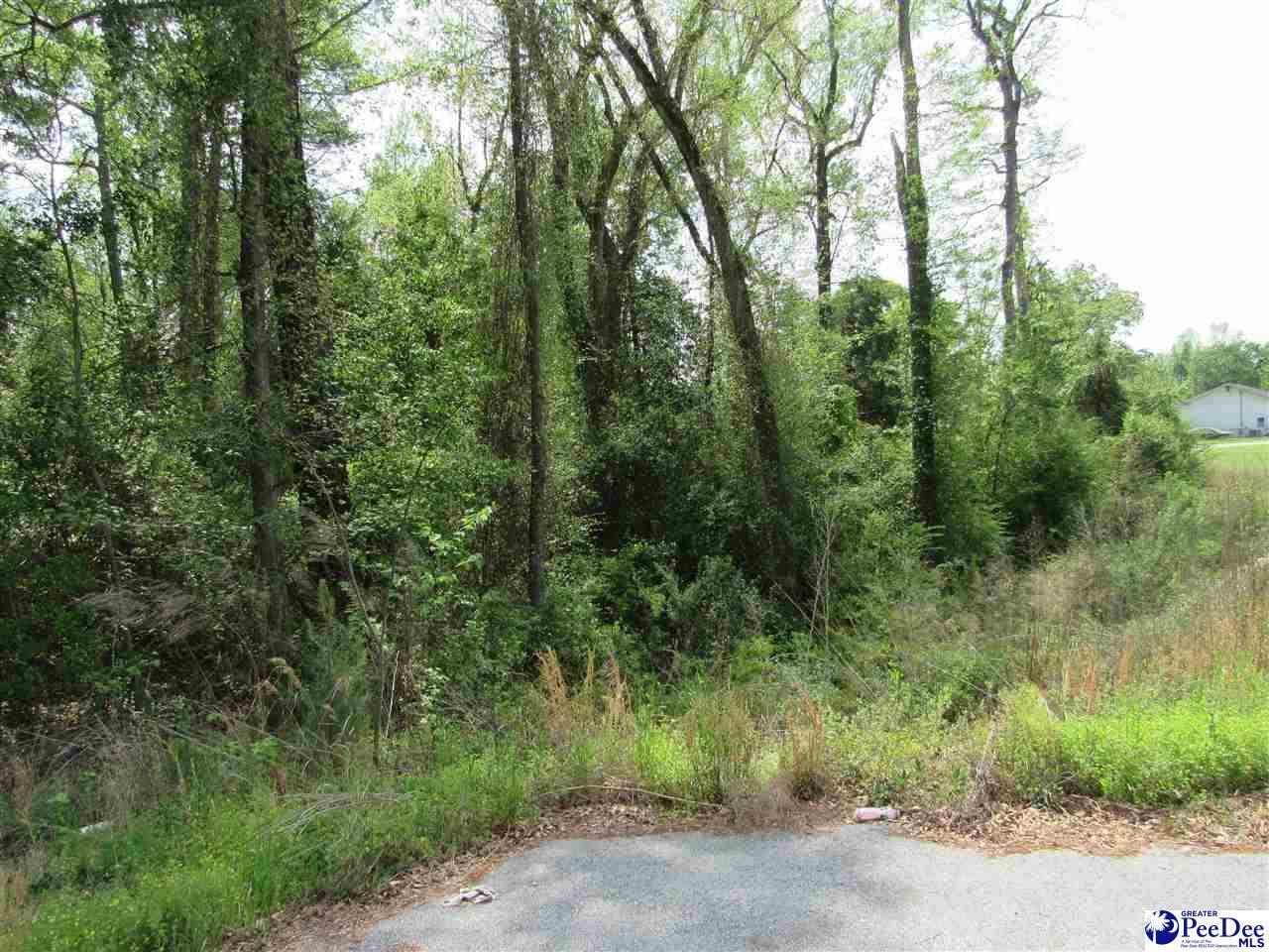 Property Photo:  2628 Tv Road  SC 29501 