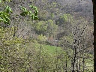 Property Photo: 7A Chestnut Flats Lane 7 NC 28786