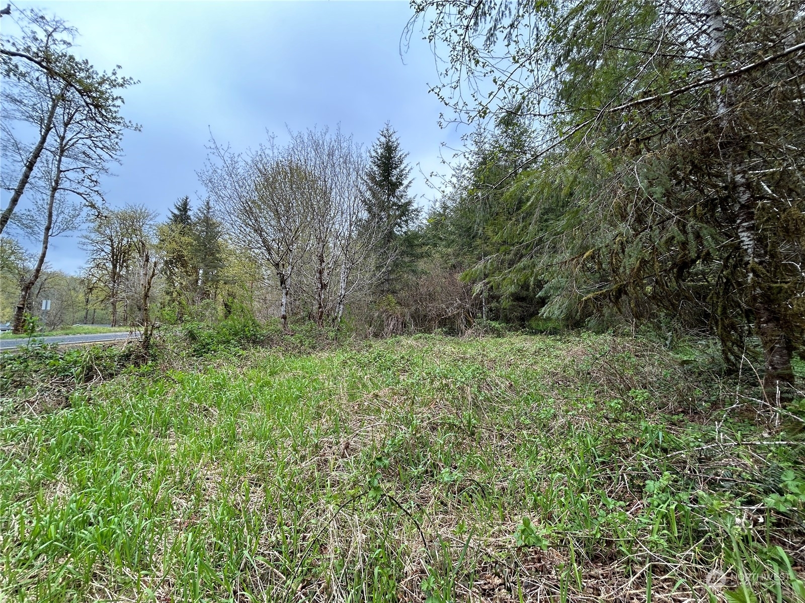 Property Photo:  0 Lot 4 Abernathy Creek Road  WA 98632 