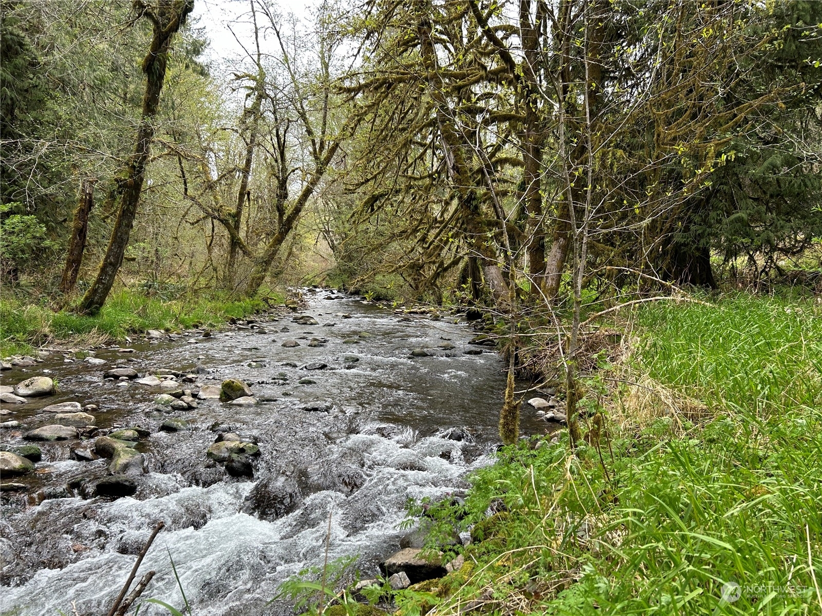 Property Photo:  0 Lot 2 Abernathy Creek Rd  WA 98632 