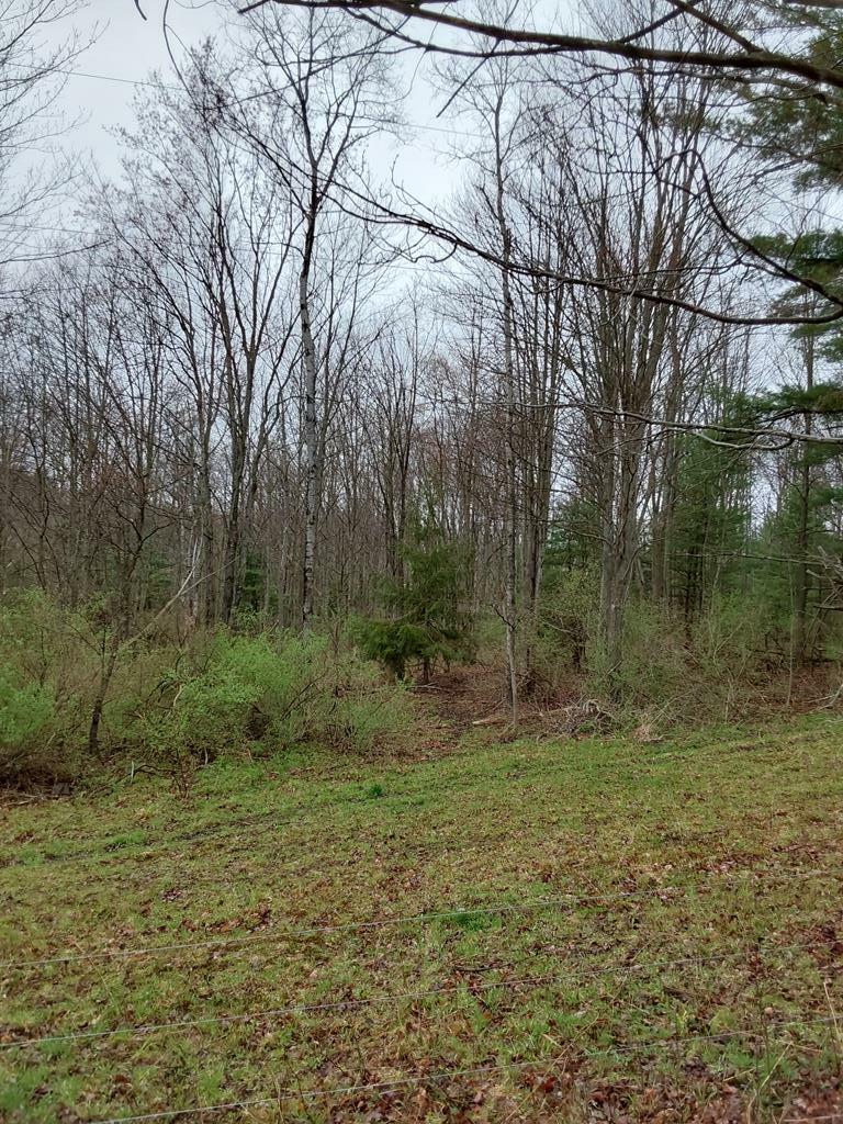 Property Photo:  0 Griffin Rd.  NY 14821 