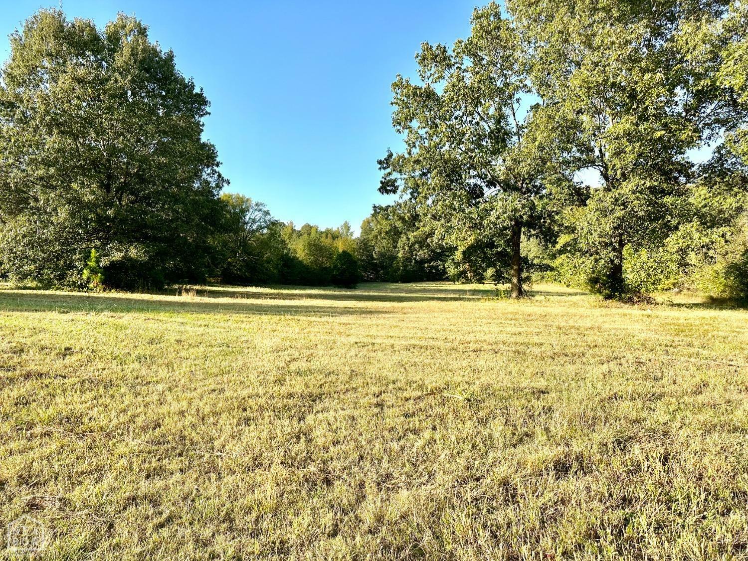 Property Photo:  0 County Road 480  AR 72404 