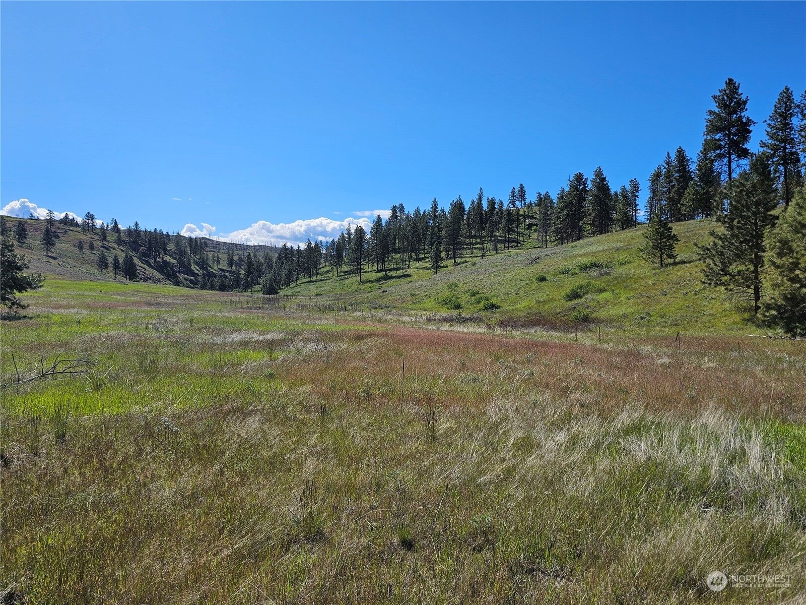 Property Photo:  246  Point Drive  WA 98844 