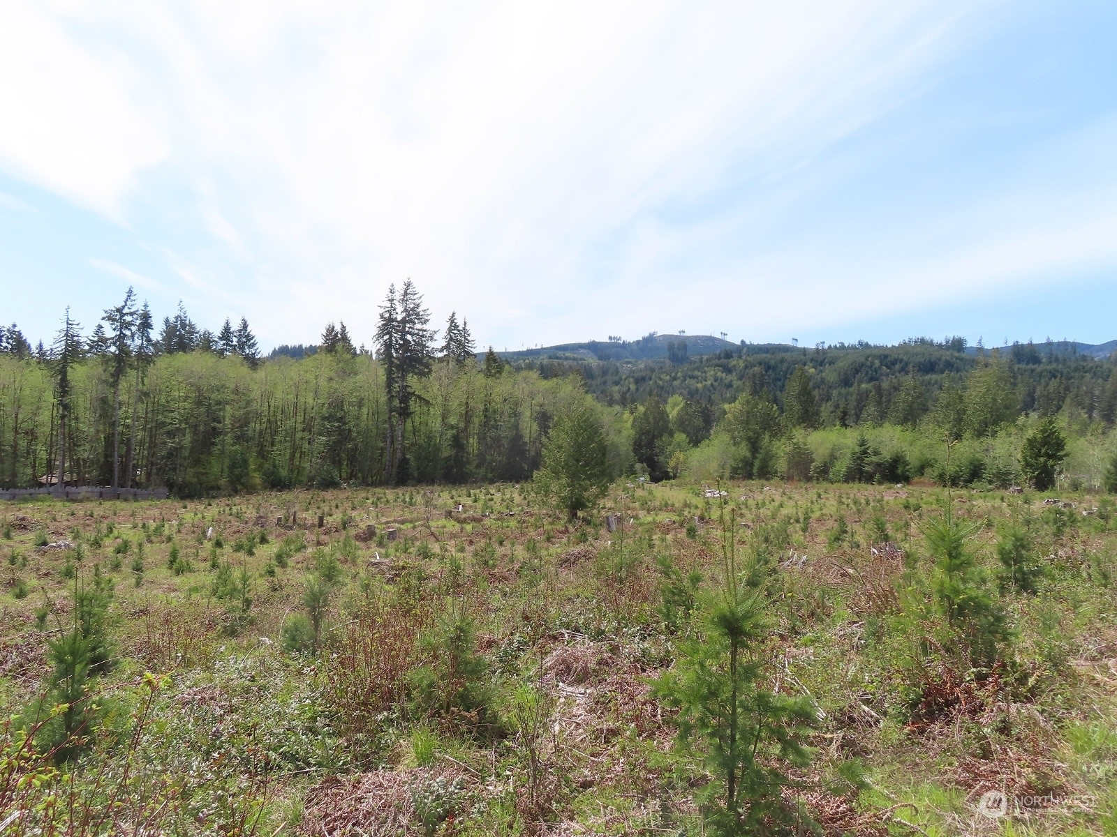 Property Photo: 234 Herman Lewis Road WA 98531