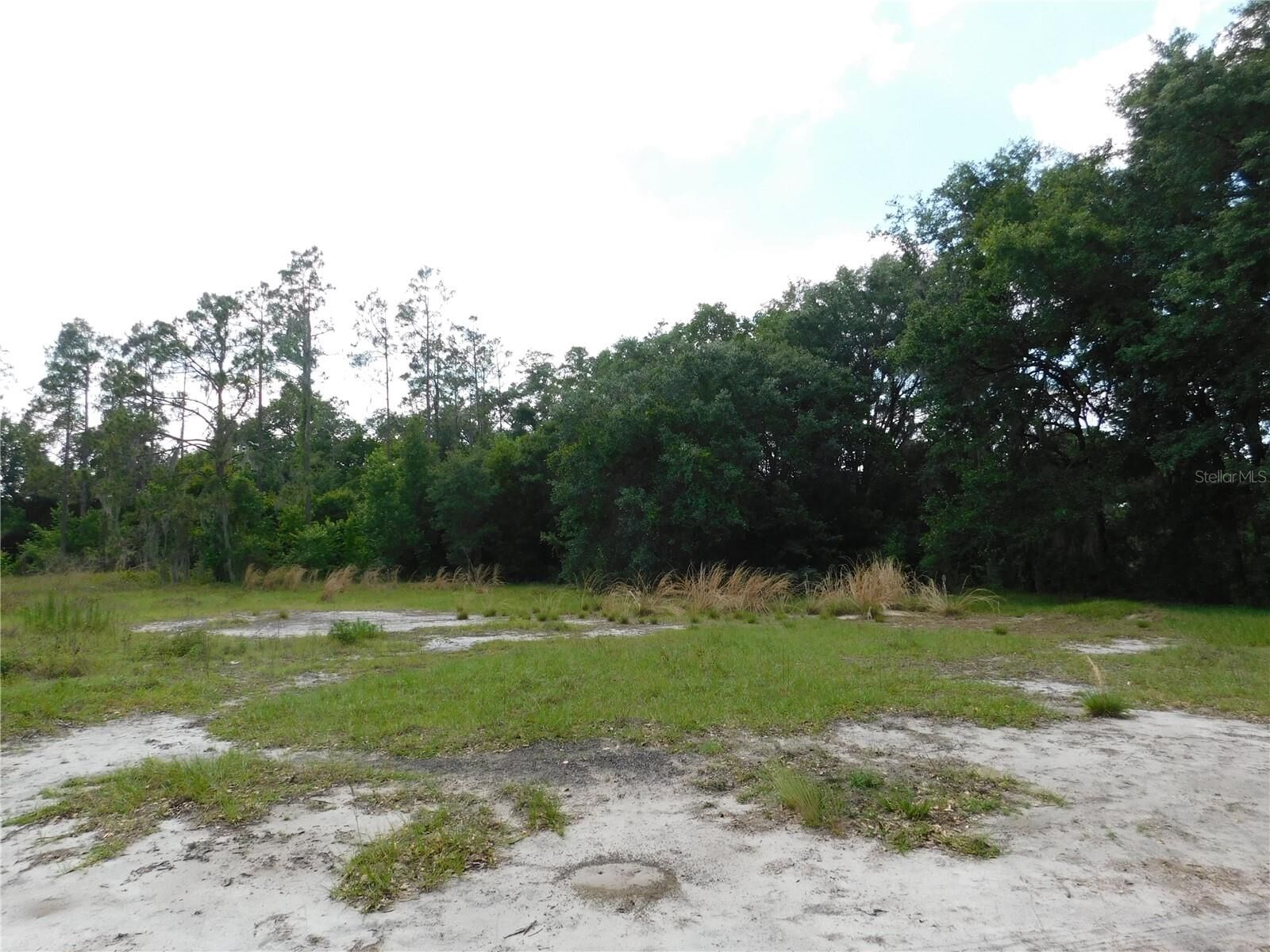Property Photo:  118 Orchidgrove Lane  FL 33527 