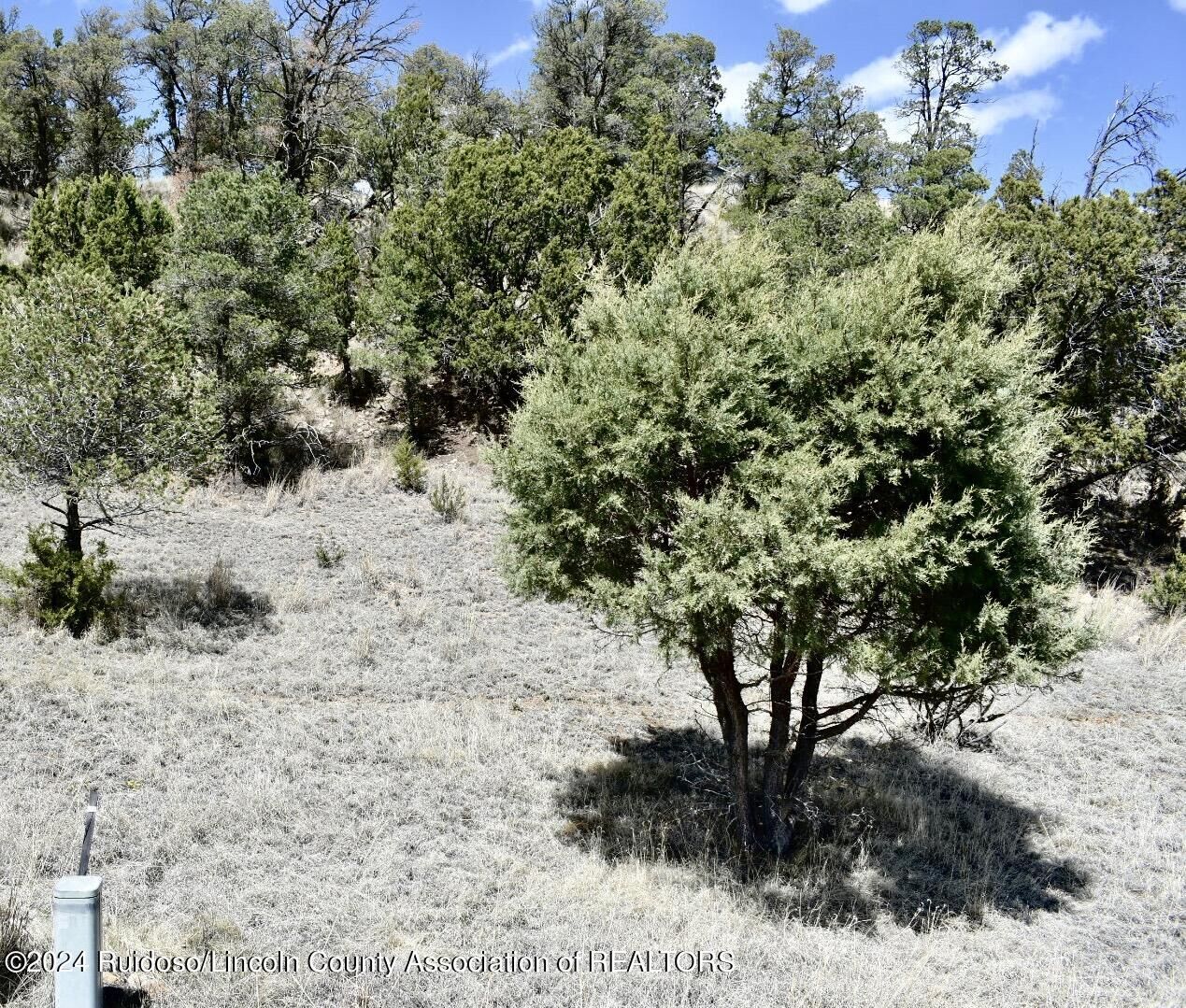 Property Photo:  Lot 31 Little Big Horn Road  NM 88312 