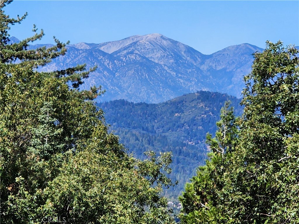 Property Photo:  0 North Road  CA 92391 
