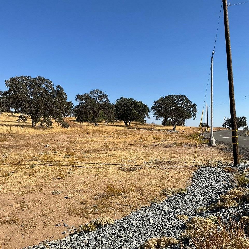 Property Photo:  9 0.48 Ac Sunflower Lane  CA 93645 