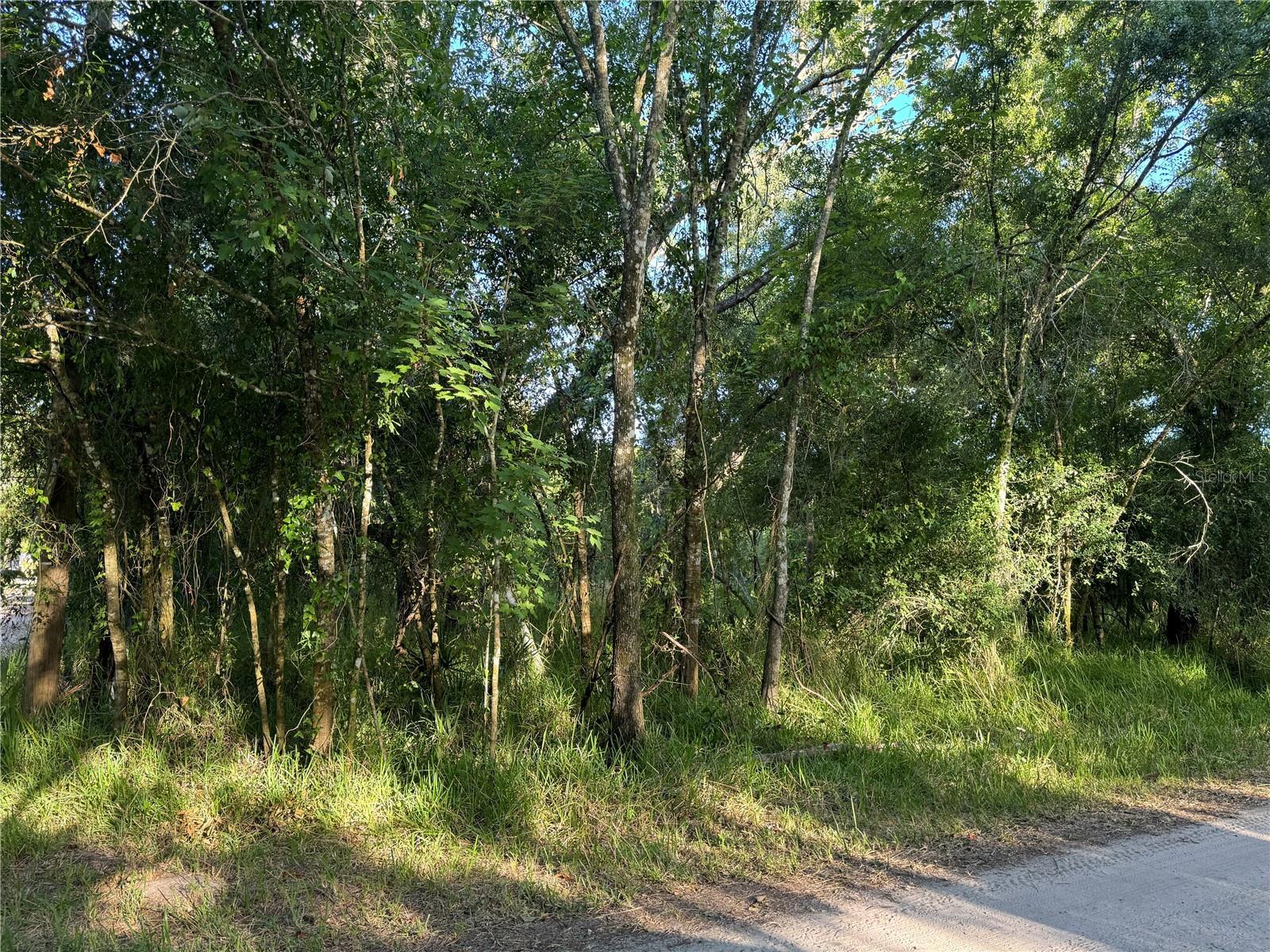 Property Photo: 0 NE River Ridge Avenue FL 34266