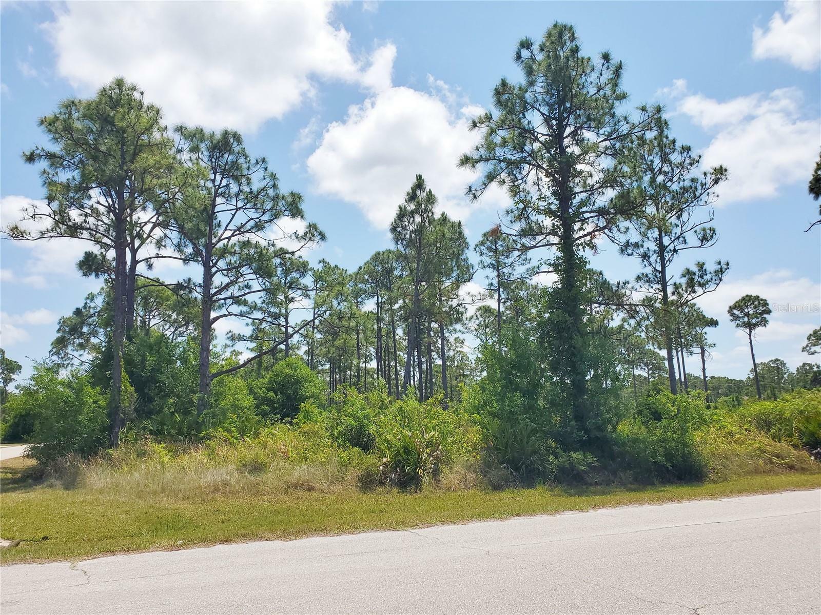 Property Photo: 13200 Minnesota Avenue FL 33955
