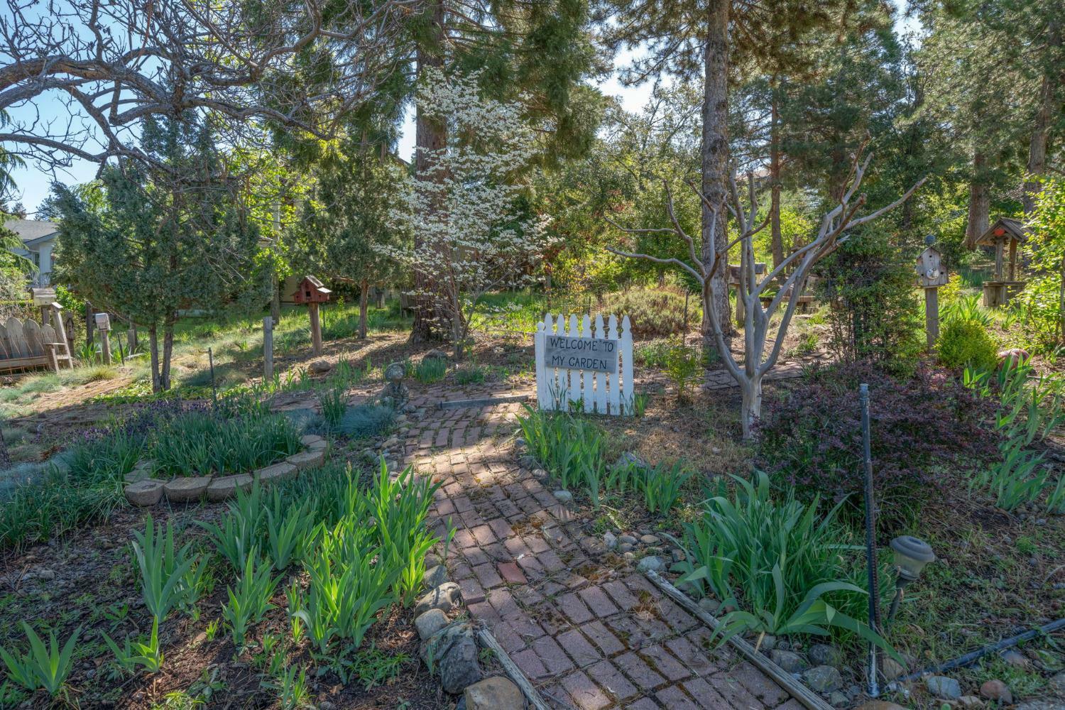 Property Photo:  731 E Dogwood Drive  CA 95247 