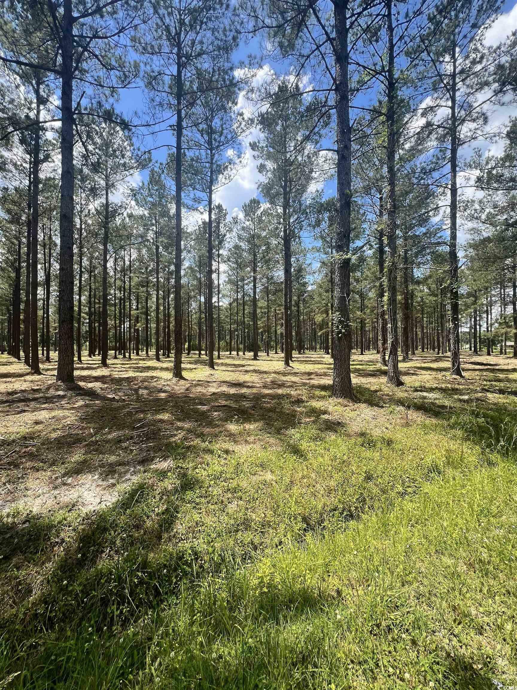 Property Photo:  Lot 3 Ashley Circle  SC 29526 