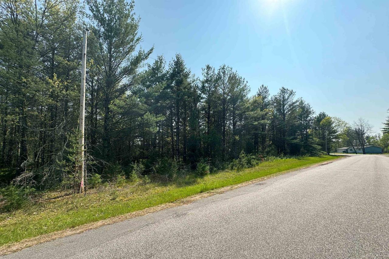 Lot 24 Dubay Pines Subdivision Altenburg Road  Junction City WI 54443 photo