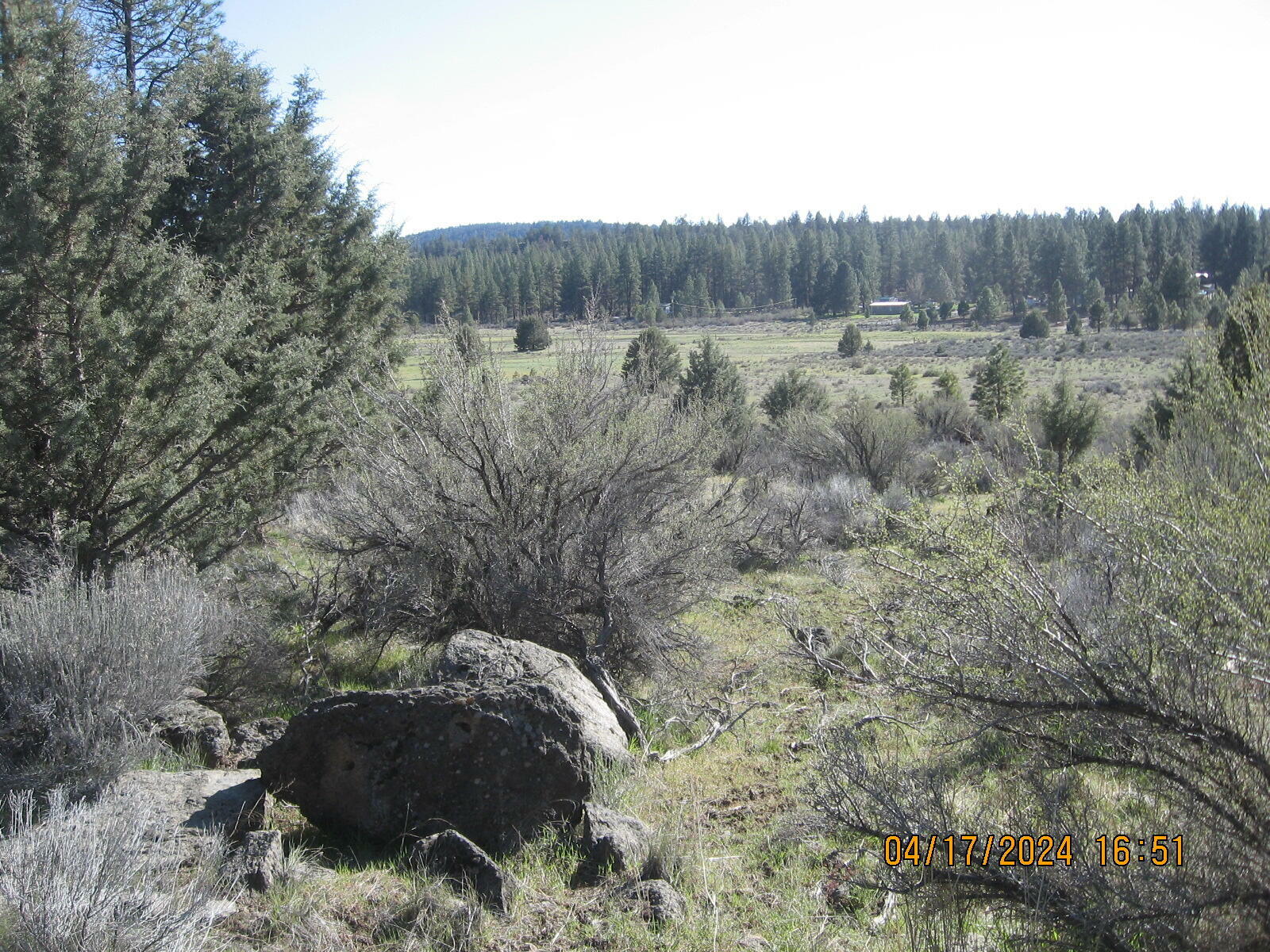 Property Photo:  Brant Drive Lot 35  OR 97623 