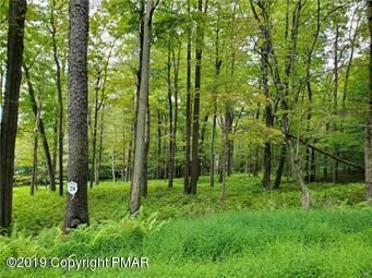 Property Photo:  28 Oak Leaf Lane  PA 18347 