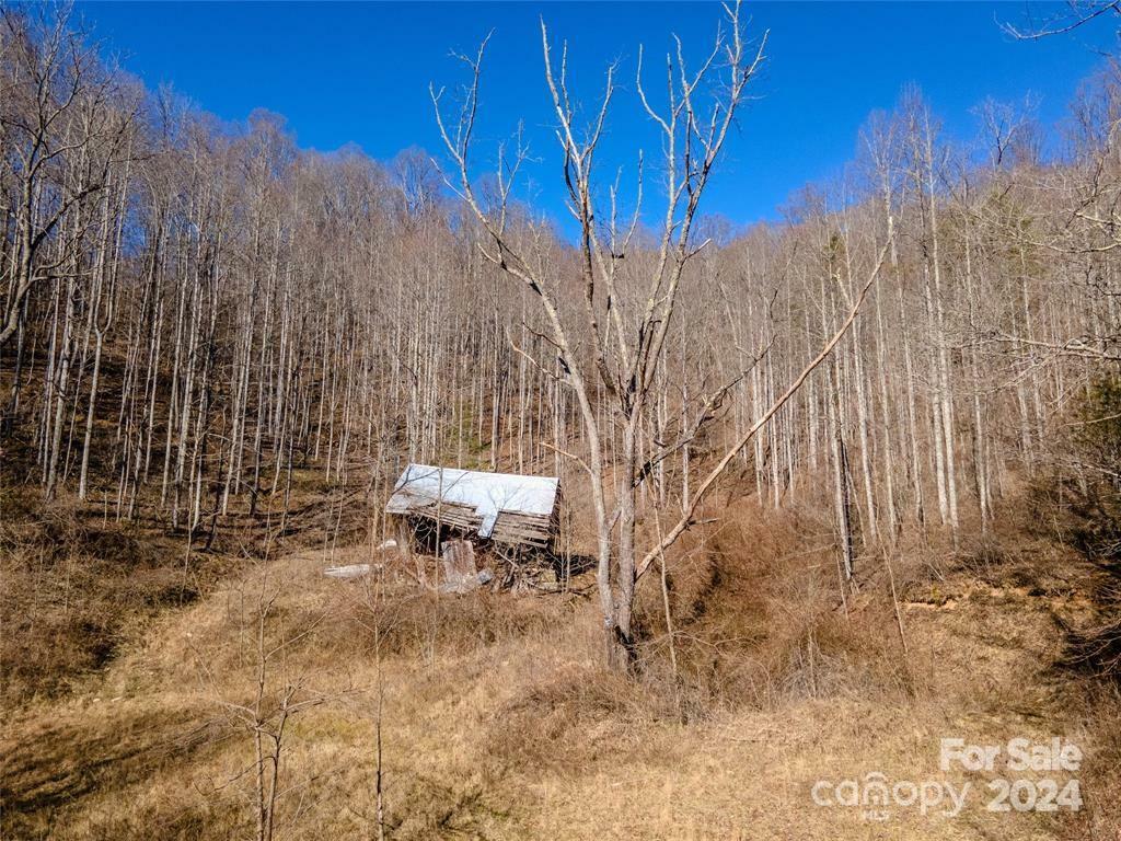 Property Photo:  6694 Meadow Fork Road  NC 28743 