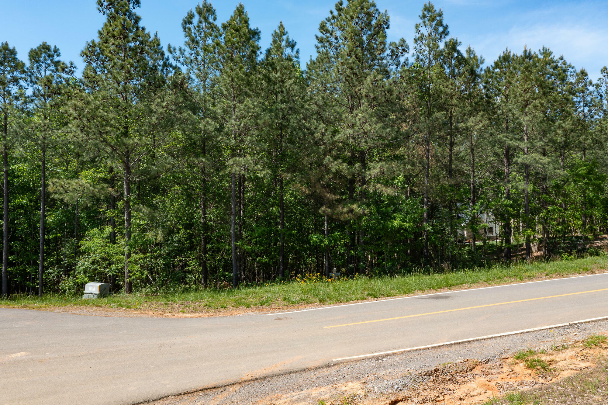 Property Photo: Lot 175 Crockett Pointe TN 37347
