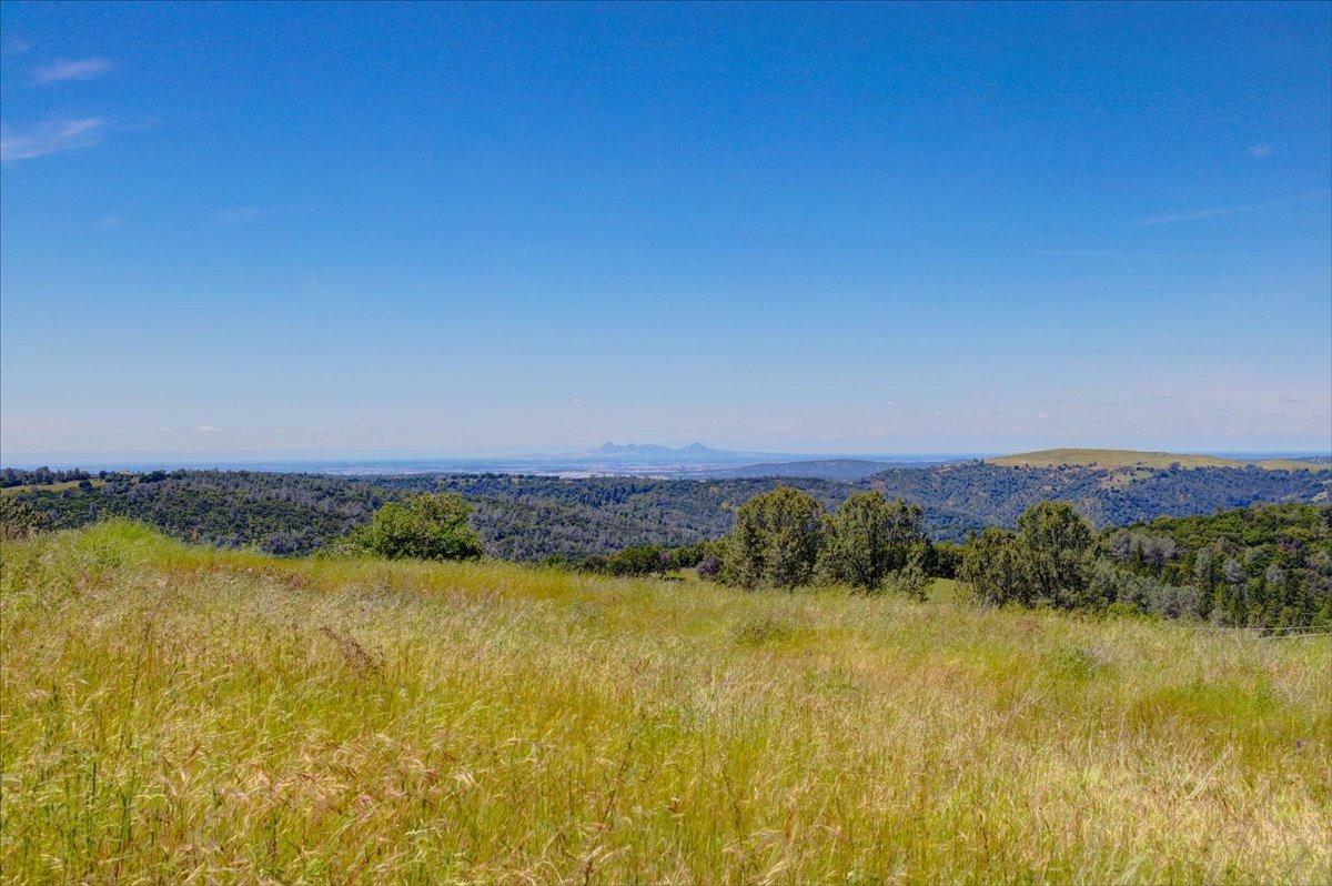 Property Photo:  21323 Bald Ridge Drive  CA 95946 